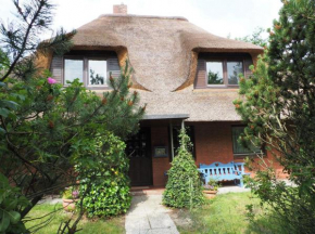 Haus-Hummergrund-App-Seepferdchen